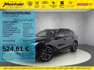 CUPRA Terramar VZ 2.0 TSI DSG 4Drive, Dach, Matrix,19"