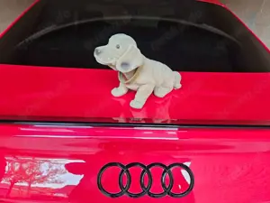 Audi RS3 Limo Pano Leder Garantie 10/2028 Head Up 280 kmh