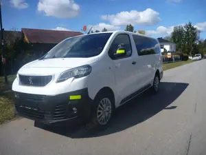 Peugeot Expert Dangel Trek