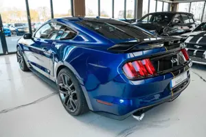Ford Mustang GT 5,0 GT 500 SHELBY PREMIUM VOLL Bild 4