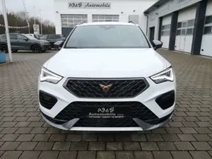 CUPRA Ateca 1.5 TSI DSG AHK*19"*ACC*el. Heckkl.*Sitzh. Bild 3