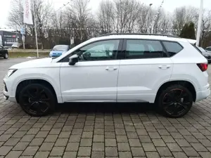 CUPRA Ateca 1.5 TSI DSG AHK*19"*ACC*el. Heckkl.*Sitzh. Bild 5