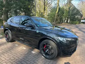 Alfa Romeo Stelvio Stelvio V6 2.9 Bi-Turbo AT8-Q4 Quadrifoglio