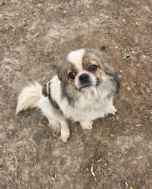 Die kleine Clee wartet auf euch