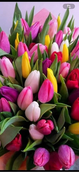 Frühling Sommer Sonne und wo bist du?Er sucht Sie ab 60 für immer...