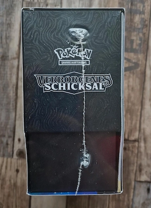 Pokemon Verborgenes Schicksal TTB Neu Bild 2