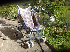 Kinderwagen und Buggy zu verschenken