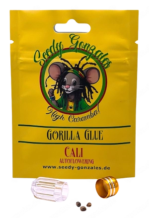 Gorilla Glue 3 Hanfsamen Autoflower Cannabissamen