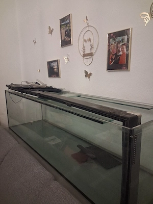 Aquarium 440l Bild 2