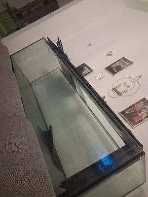 Aquarium 440l Bild 3