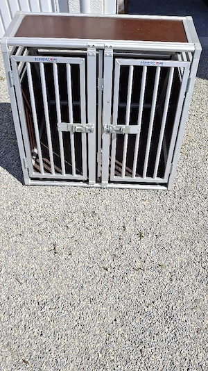 Hundetransportbox
