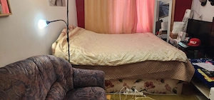 Mieterin ab sofort gesucht 