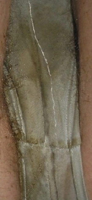 Herrlicher Duft gesucht