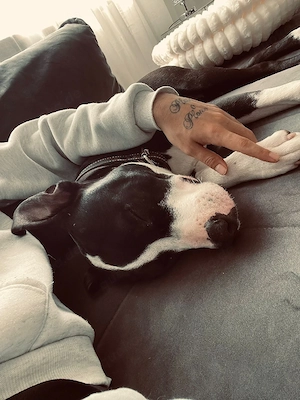  Mischling Rüde 9 monate sucht neues zuhause 