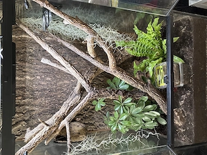 Exo Terra pro Paludarium 60x45x90 cm komplett