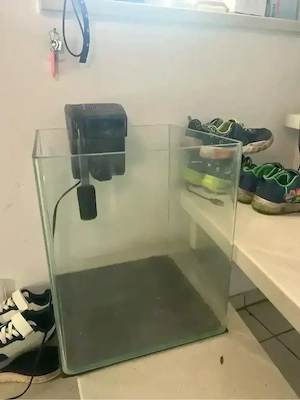 30L Aquarium