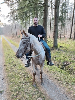 Liebe zuverlässige Appaloosa Stute 