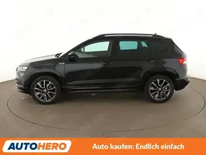 Skoda Karoq Bild 2