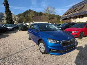 Skoda Fabia Selec. PDC,SHZ,Aut. Klima,DAB,LED,Assist.