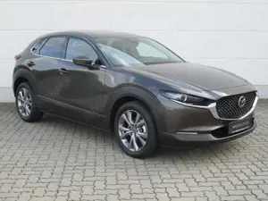 Mazda CX-30 2.0l Skyactiv-X Exclusive Bose Matrix-LED 360°Kame Bild 5
