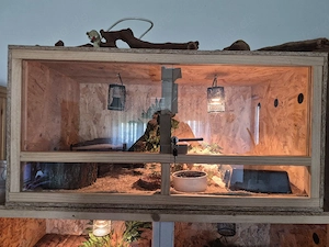 Terrarium 100  50  50