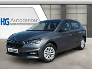 Skoda Fabia 1.0TSI Selection DSG LED AHK Kamera 5J.Gar