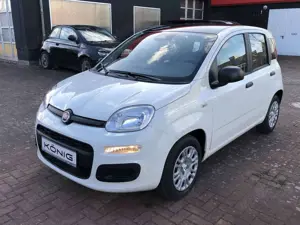 Fiat Panda MY25 1.0 Klima PDC Citypaket