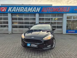 Ford Focus Lim. Business