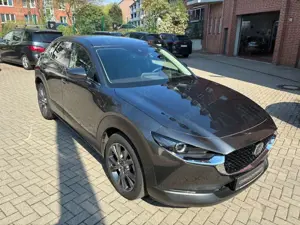 Mazda CX-30 AT SELECTION DES-/PRE-P LEDER GSD Bild 4