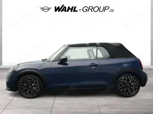 MINI Cooper S Cabrio Cooper S CABRIO FAVOURED TRIM PAKET XL ALU 18" Bild 3