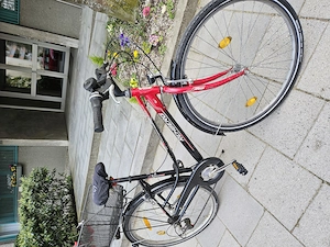 Rehberg Damen-Fahrrad 28 Zoll