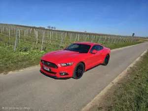 Ford Mustang 5.0 Ti-VCT V8 GT
