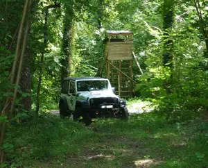 Jeep Wrangler Bild 2