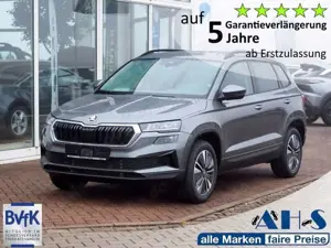 Skoda Karoq DSG Smart Link Kamera Navi AHK