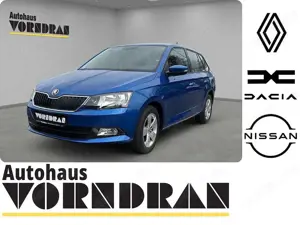 Skoda Fabia 1.0 TSI Ambition Klima PDC SHZ M+S