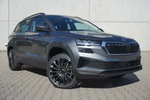 Skoda Karoq 2.0TDI DSG 4x4 Navi/Mirrorl AHK Kamera 19"
