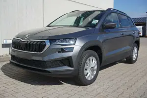 Skoda Karoq 2.0TDI DSG 4x4 Navi/Mirrorl AHK Kamera 19" Bild 4