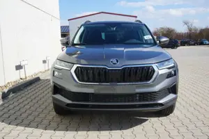 Skoda Karoq 2.0TDI DSG 4x4 Navi/Mirrorl AHK Kamera 19" Bild 5