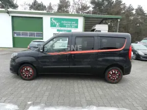 Fiat Doblo SX Maxi Kombi, Professional