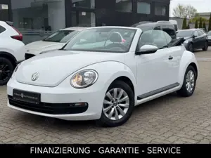Volkswagen Beetle Cabriolet BMT/KLIMA/SHZ/TEMPO/ALU/PDC