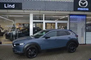 Mazda CX-30 2.5L e-SKYACTIV G 140ps X-30 HOMURA 2.5L e Bild 2