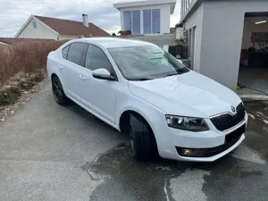 Skoda Octavia Octavia 1.4 TSI (Green tec) DSG Ambition