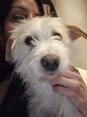 Ein Herz aus Gold sucht sein Für-Immer-Zuhause!