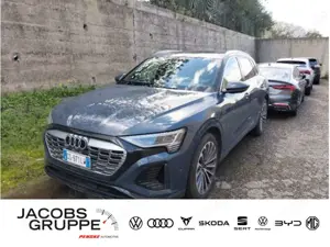 Audi Q8 55 S-Line NAVI*PANO*LEDER*MATRIX 55 quattro S