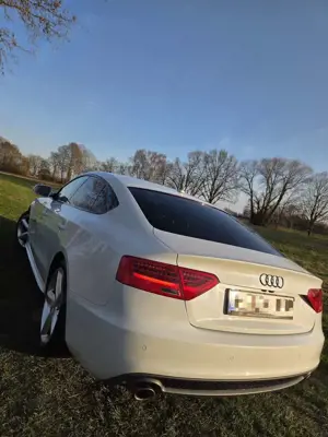 Audi A5 Bild 2