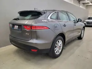 Jaguar F-Pace 20d AWD Pure *Leder| Navi| Pano* Bild 3