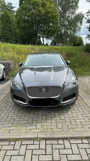 Jaguar XF Bild 5