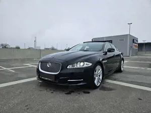 Jaguar XJ Bild 5
