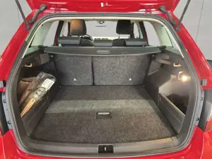 Skoda Fabia Combi 1.0 TSI DSG Pano Bild 5