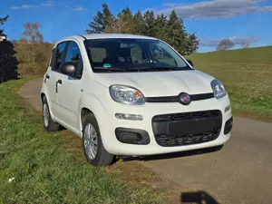 Fiat Panda Panda/Pandina 1.2 Easy